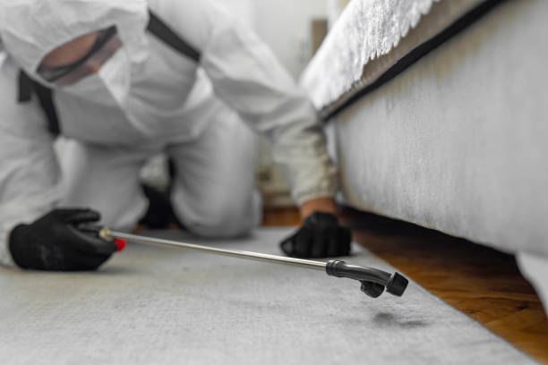 Professional Bed Bug Control technician working in Folcroft, PA